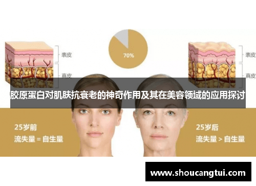 胶原蛋白对肌肤抗衰老的神奇作用及其在美容领域的应用探讨 胶原蛋白对肌肤抗衰老的神奇作用及其在美容领域的应用探讨