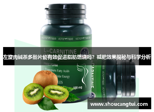 左旋肉碱茶多酚片能有效促进脂肪燃烧吗？减肥效果揭秘与科学分析