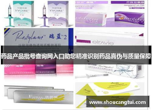 药品产品批号查询网入口助您精准识别药品真伪与质量保障 药品产品批号查询网入口助您精准识别药品真伪与质量保障