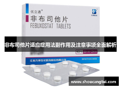 非布司他片适应症用法副作用及注意事项全面解析